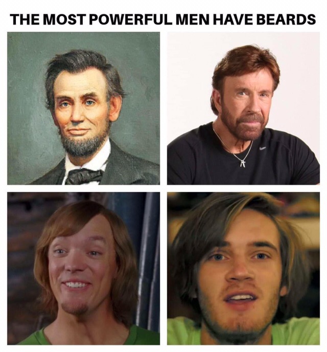 shaggy meme