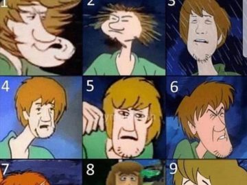shaggy meme