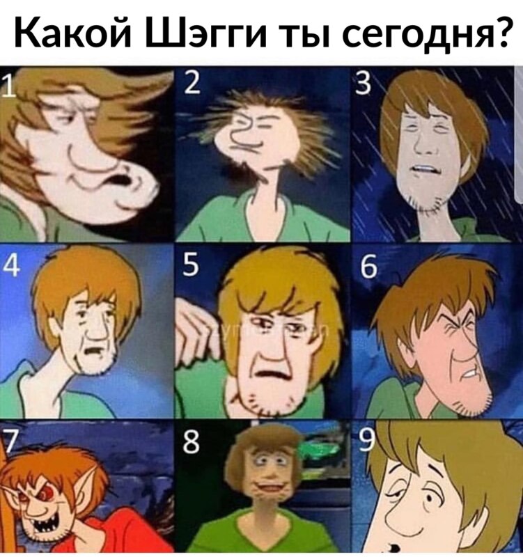 shaggy meme