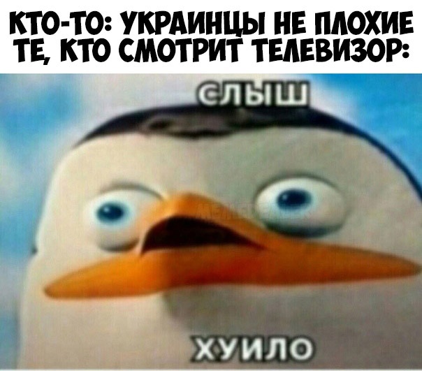Слыш хуило