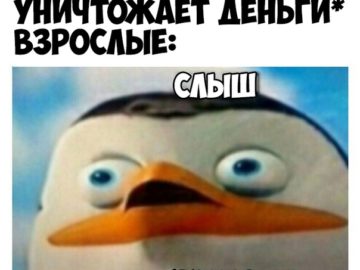 Слыш хуило