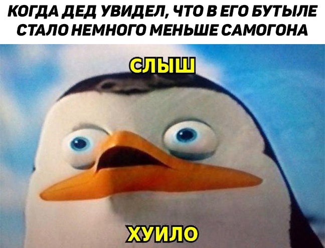 Слыш хуило