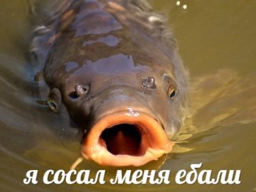 Я сосал меня ебали