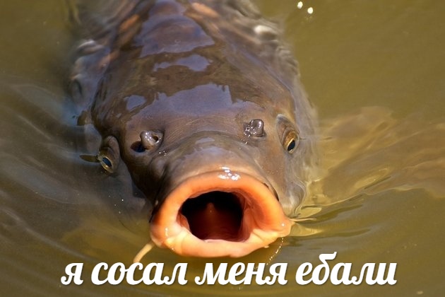 Я сосал меня ебали