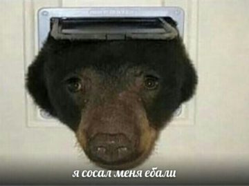 Я сосал меня ебали