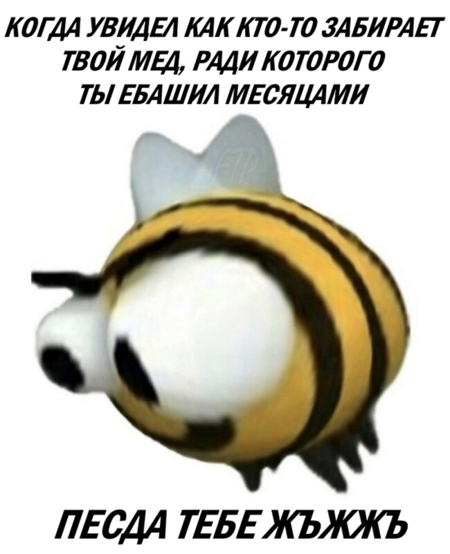 Жъжъь мем