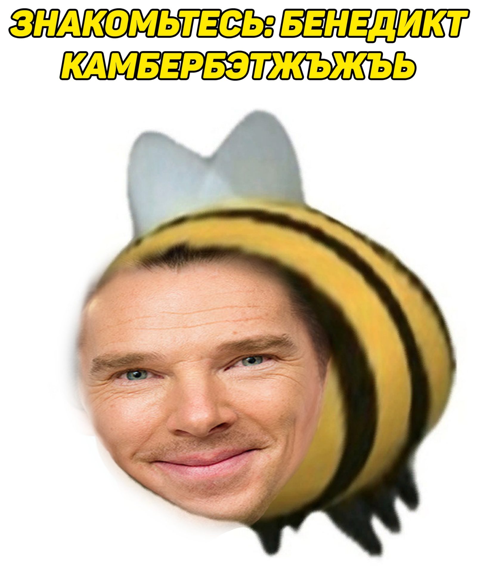 Жъжъь мем