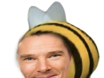 Жъжъь мем