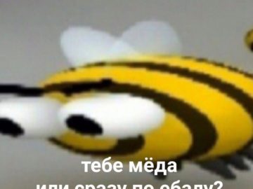 Жъжъь мем