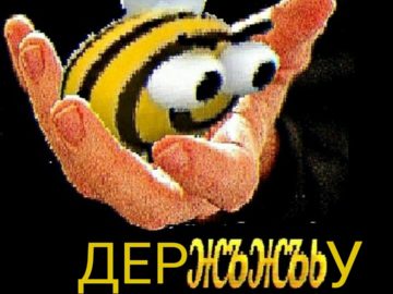 Жъжъь мем