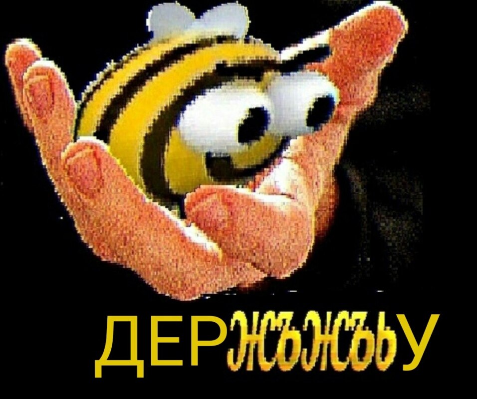 Жъжъь мем