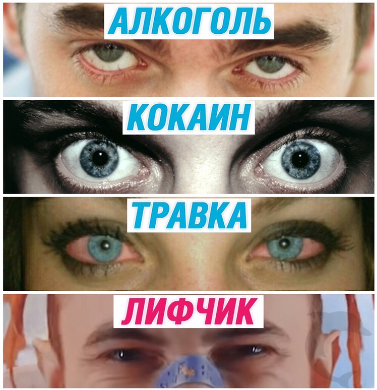 Мемы про Gone.Fludd и лифчики