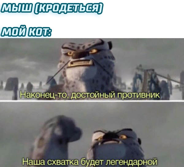 Наша схватка будет легендарной