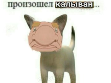 Произошел калыван