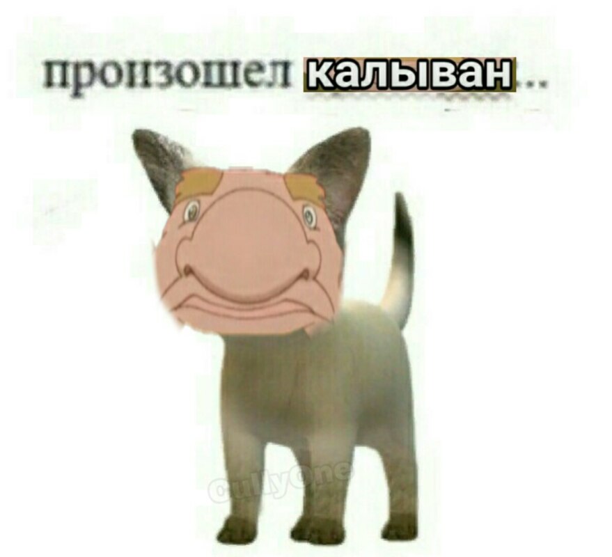 Произошел калыван