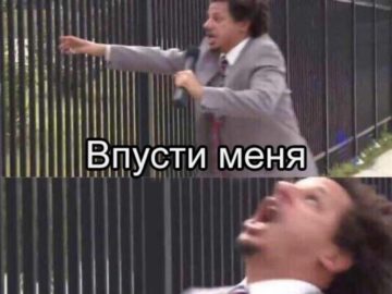 Мем Впусти меня