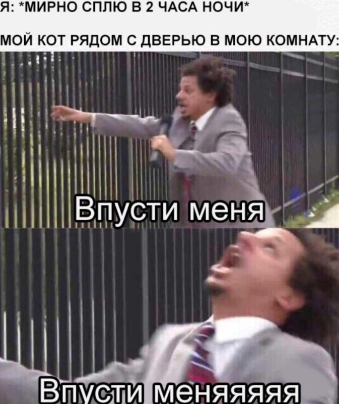 Мем Впусти меня