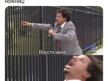 Мем Впусти меня