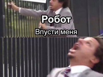 Мем Впусти меня