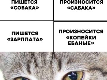 Пишется "что", произносится "што"
