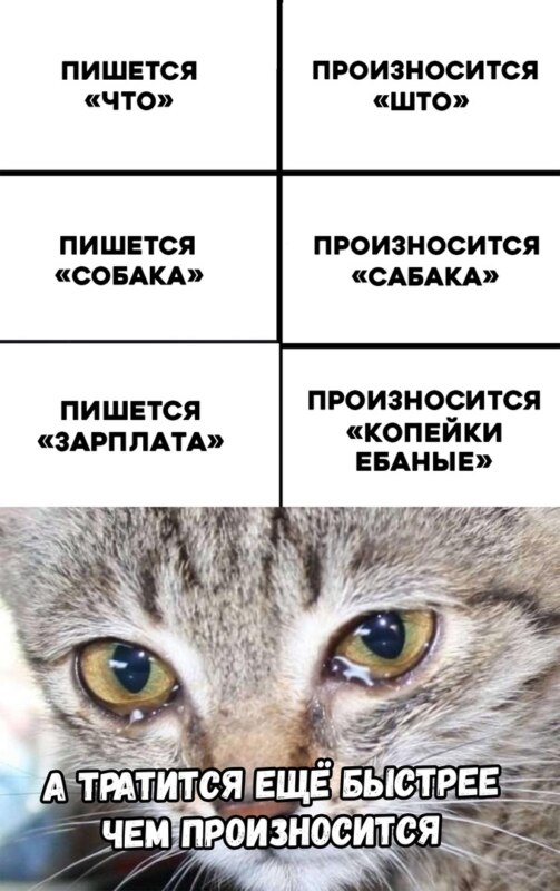 Пишется "что", произносится "што"