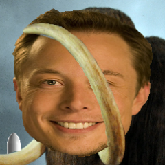 Elon Tusk Илон Бивень