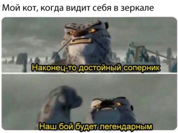 Наша схватка будет легендарной