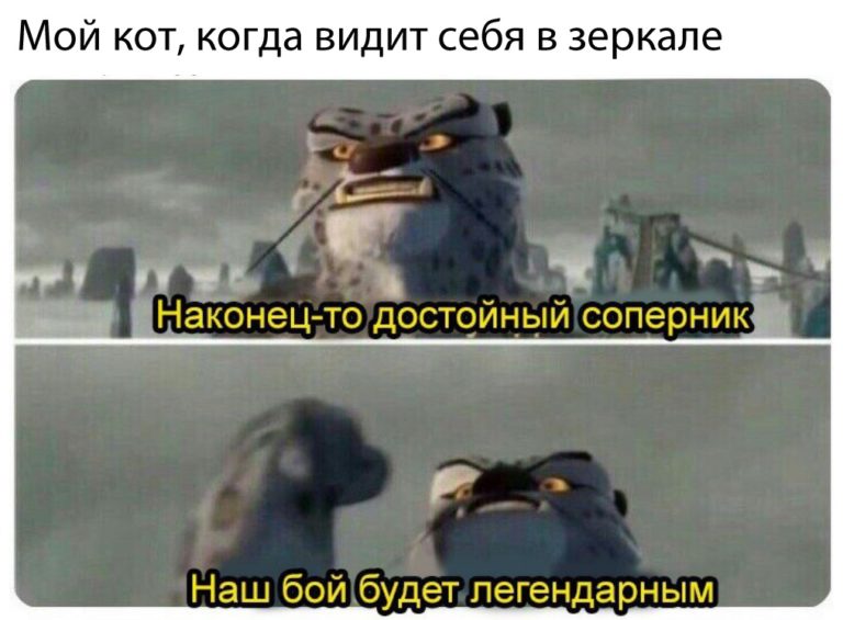 мемы февраля мемы февраля