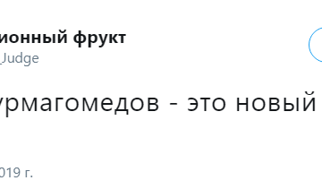 Хабиб Нурмагомедов раскритиковал