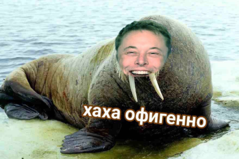Elon Tusk Илон Бивень