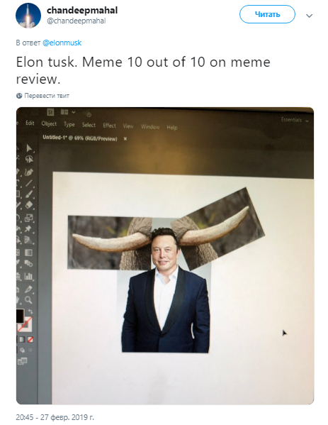 Elon Tusk Илон Бивень