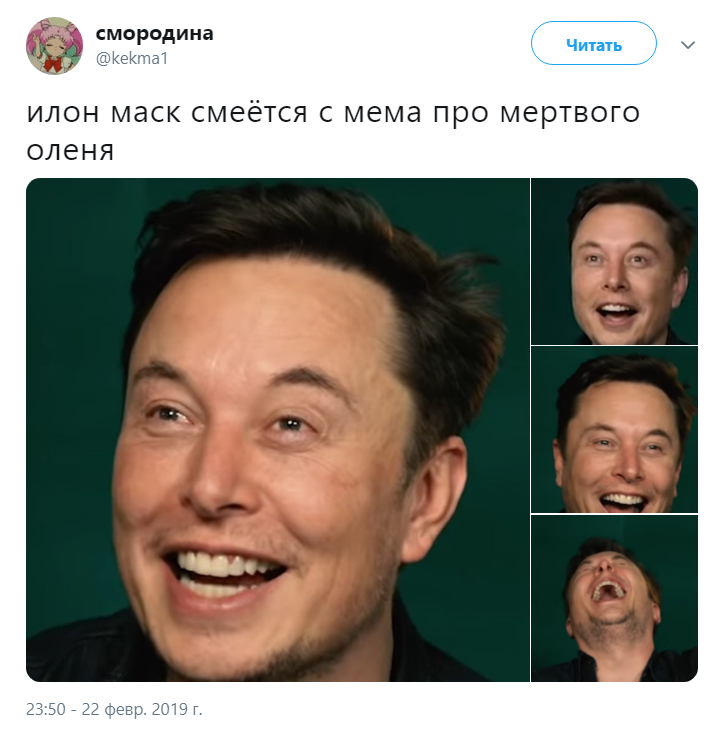 Илон Маск и мертвый олень Илон Маск и мертвый олень