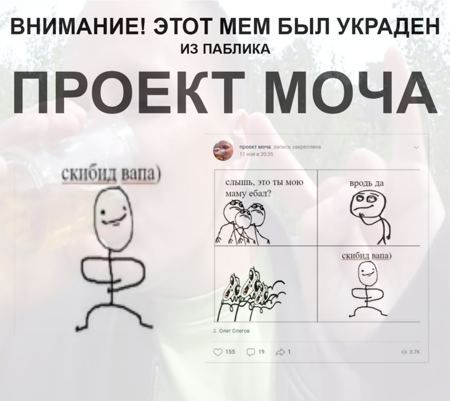 проект моча