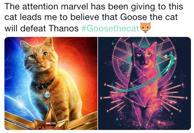 Кошка Гуся