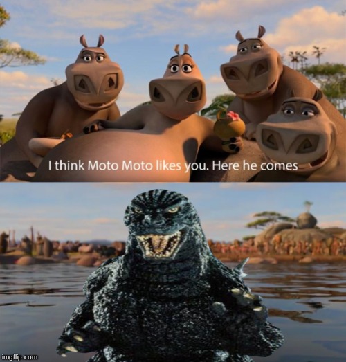 Мото Мото