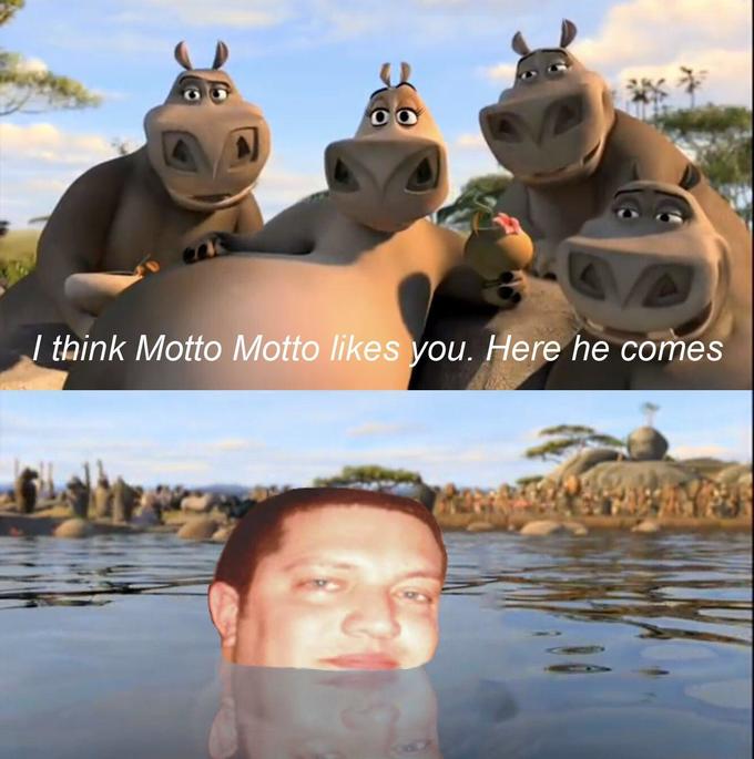 Мото Мото