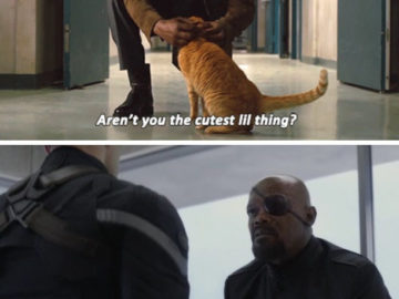 Кошка Гуся