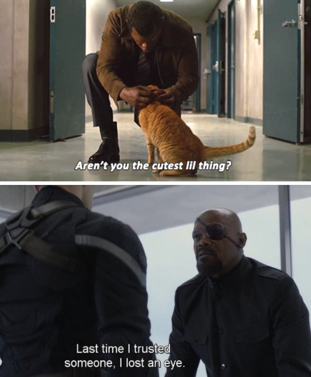 Кошка Гуся