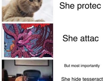 Кошка Гуся
