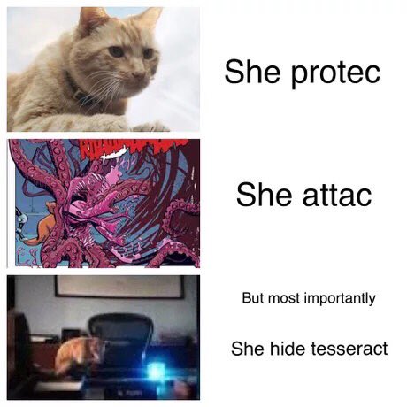 Кошка Гуся