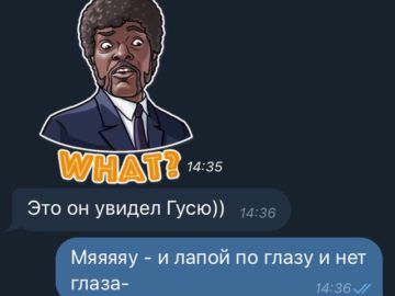 Кошка Гуся