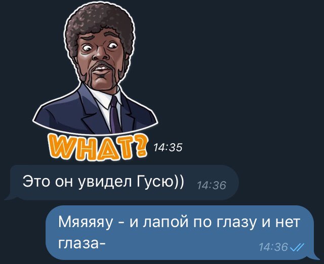 Кошка Гуся