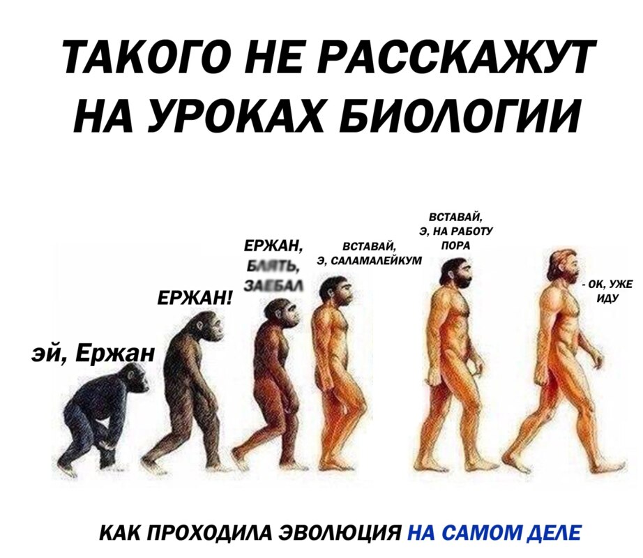 Ержан вставай мем Ержан вставай мем