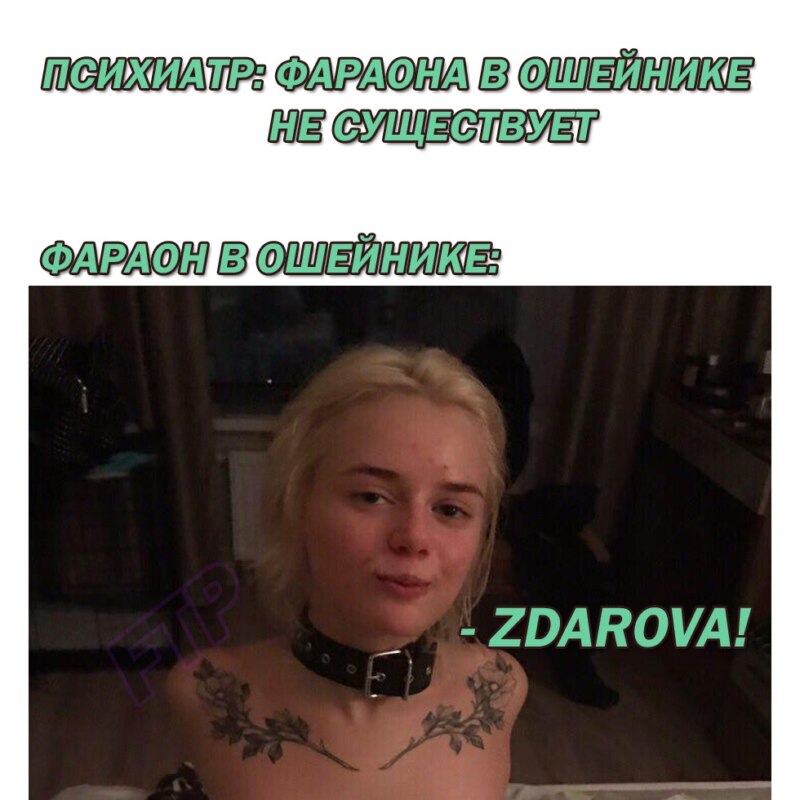 Таня Швед мемы Таня Швед мемы