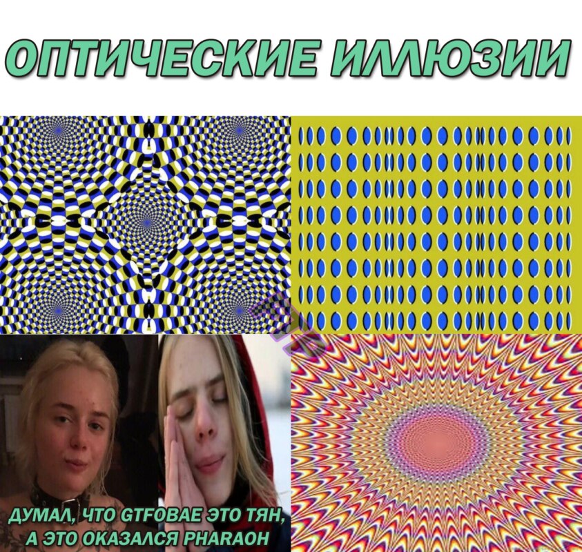 Таня Швед мемы Таня Швед мемы