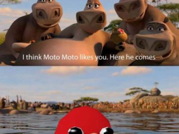 Мото Мото