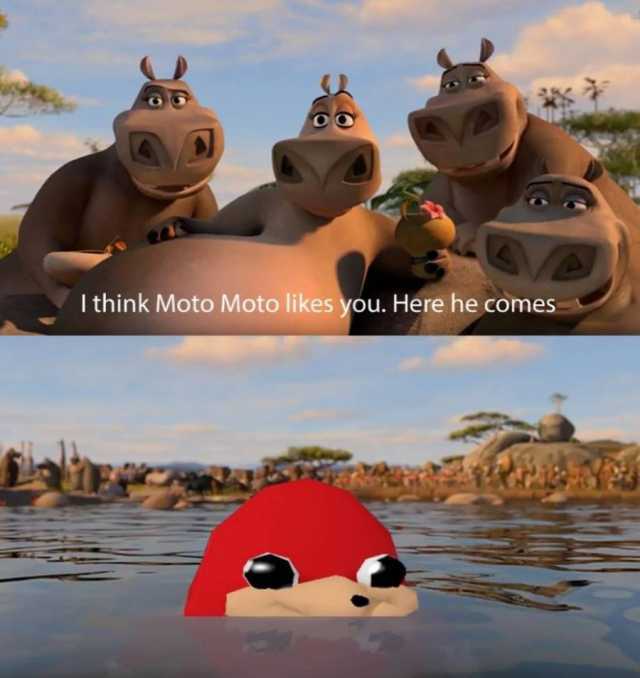Мото Мото