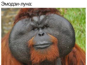 Абсолютно никто