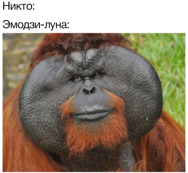 Абсолютно никто