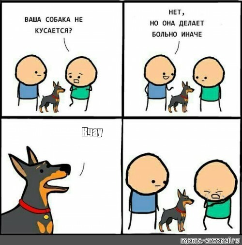 кчау мем
